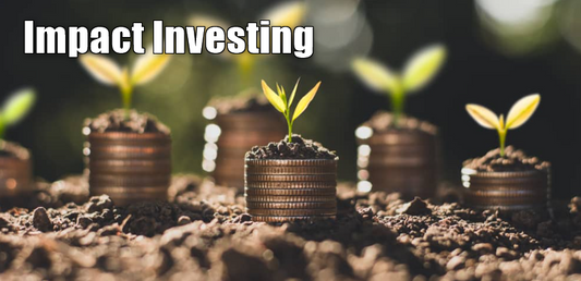 The Rise of Impact Investing: Aligning Profit with Purpose